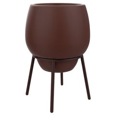 Pot bas en dentelle chocolat 50 de Mowee