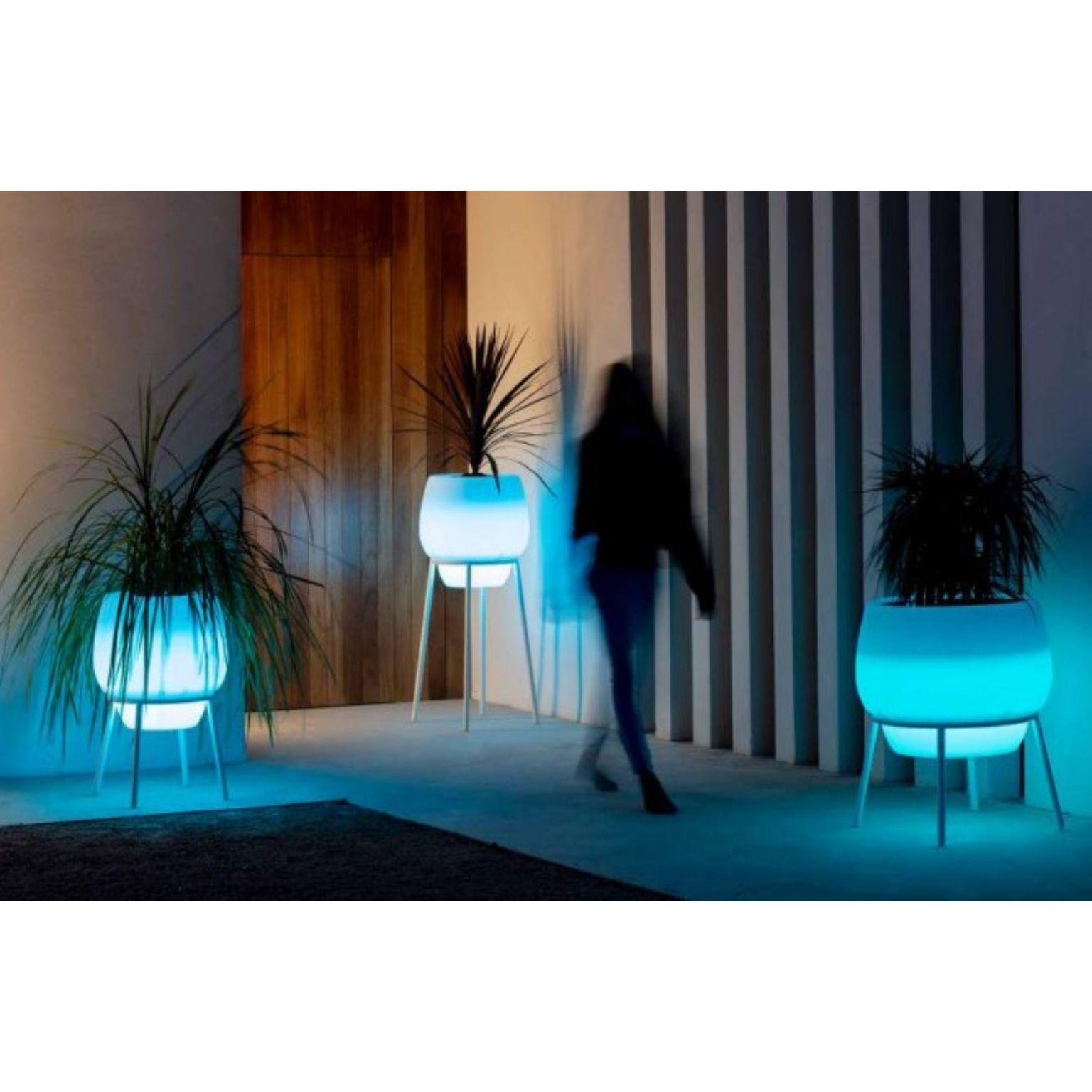 Maceta 65 de chocolate con encaje by MOWEE Siglo XXI y contemporáneo en venta