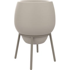 Crema de encaje 50 Maceta baja de Mowee