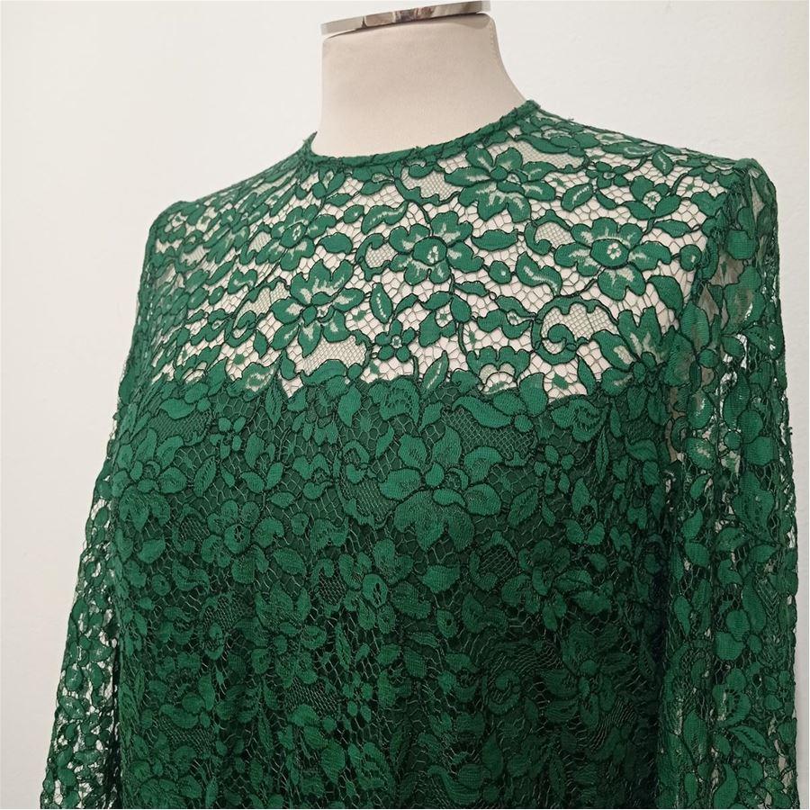 zara green velvet crochet dress