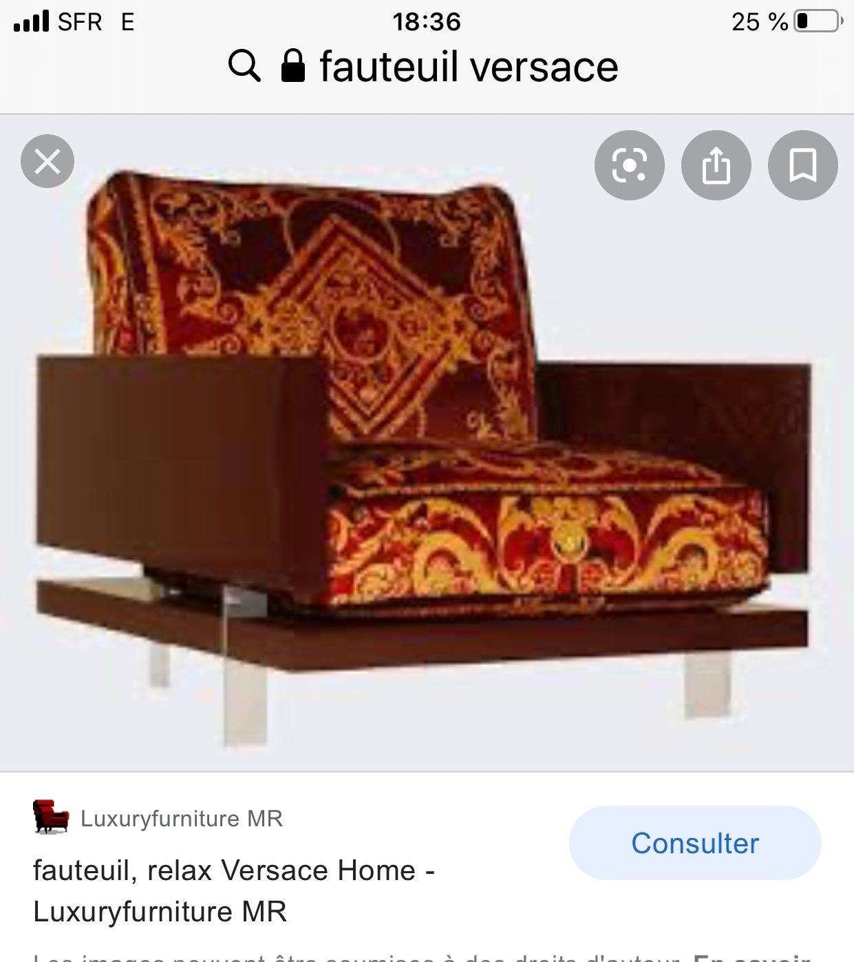 Lacquer Armchair, Maison Versace, 1970 For Sale 5