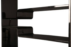 Lacquered Black Wooden Case