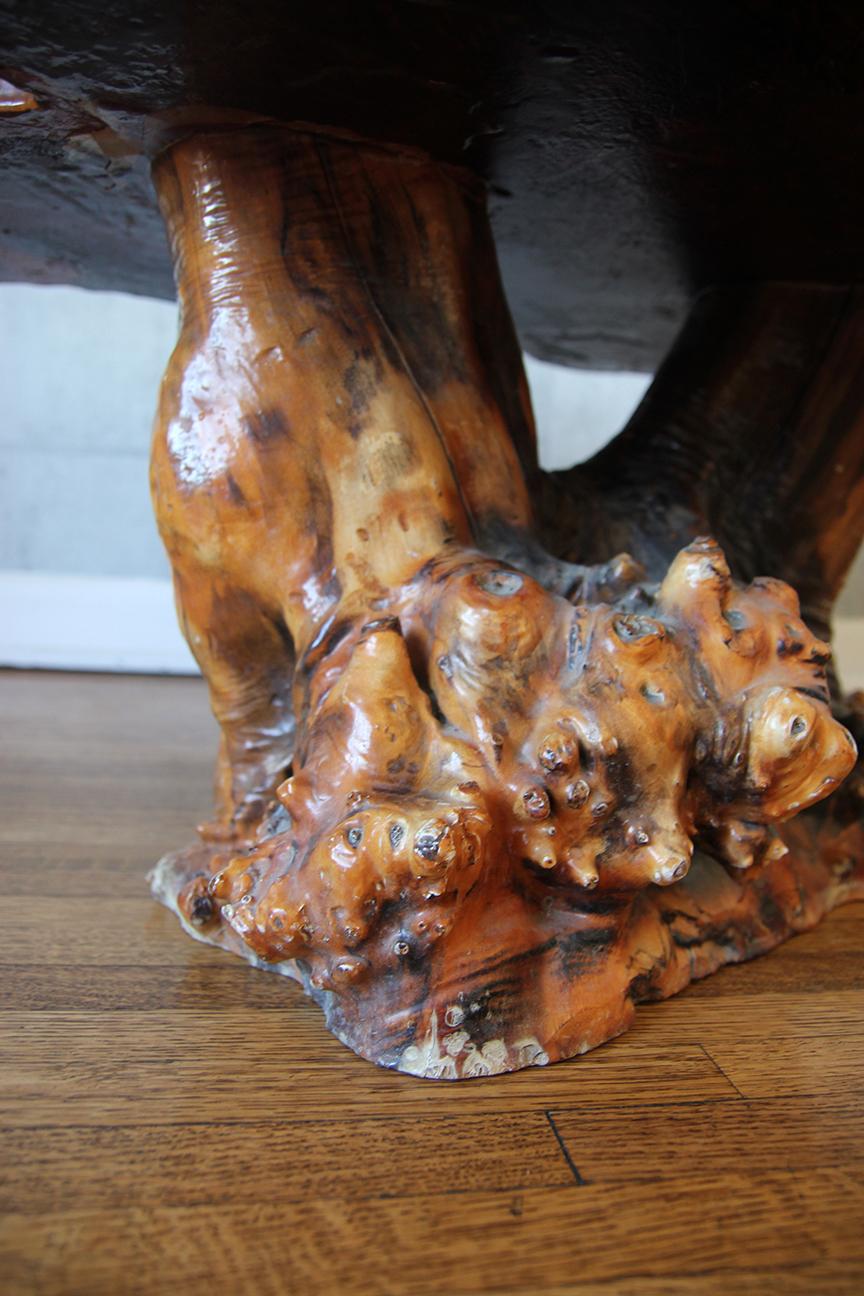 Lacquered Live Edge Specimen Burl Coffee Table with Root Base For Sale 4