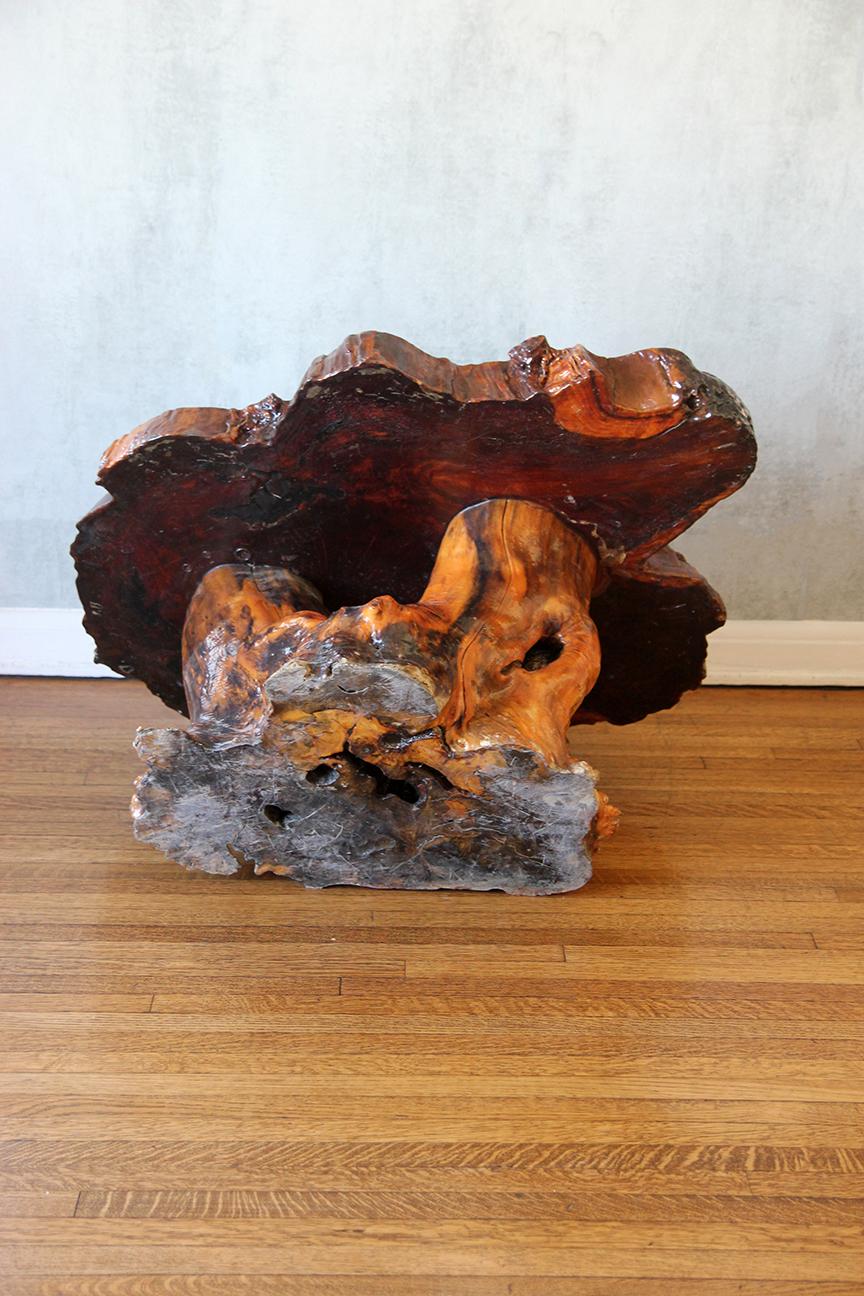 Lacquered Live Edge Specimen Burl Coffee Table with Root Base For Sale 5