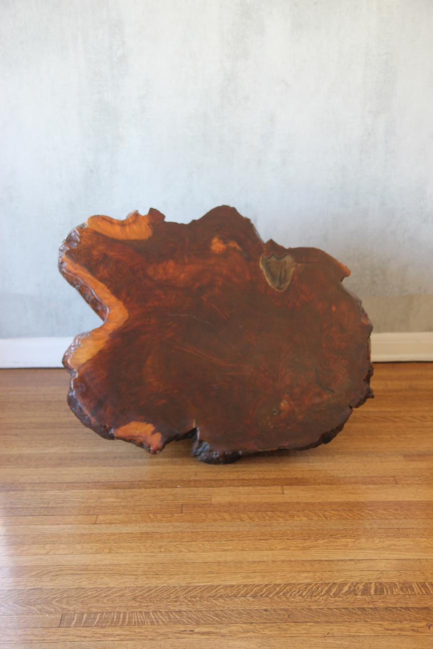 Lacquered Live Edge Specimen Burl Coffee Table with Root Base In Good Condition For Sale In Los Angeles, CA