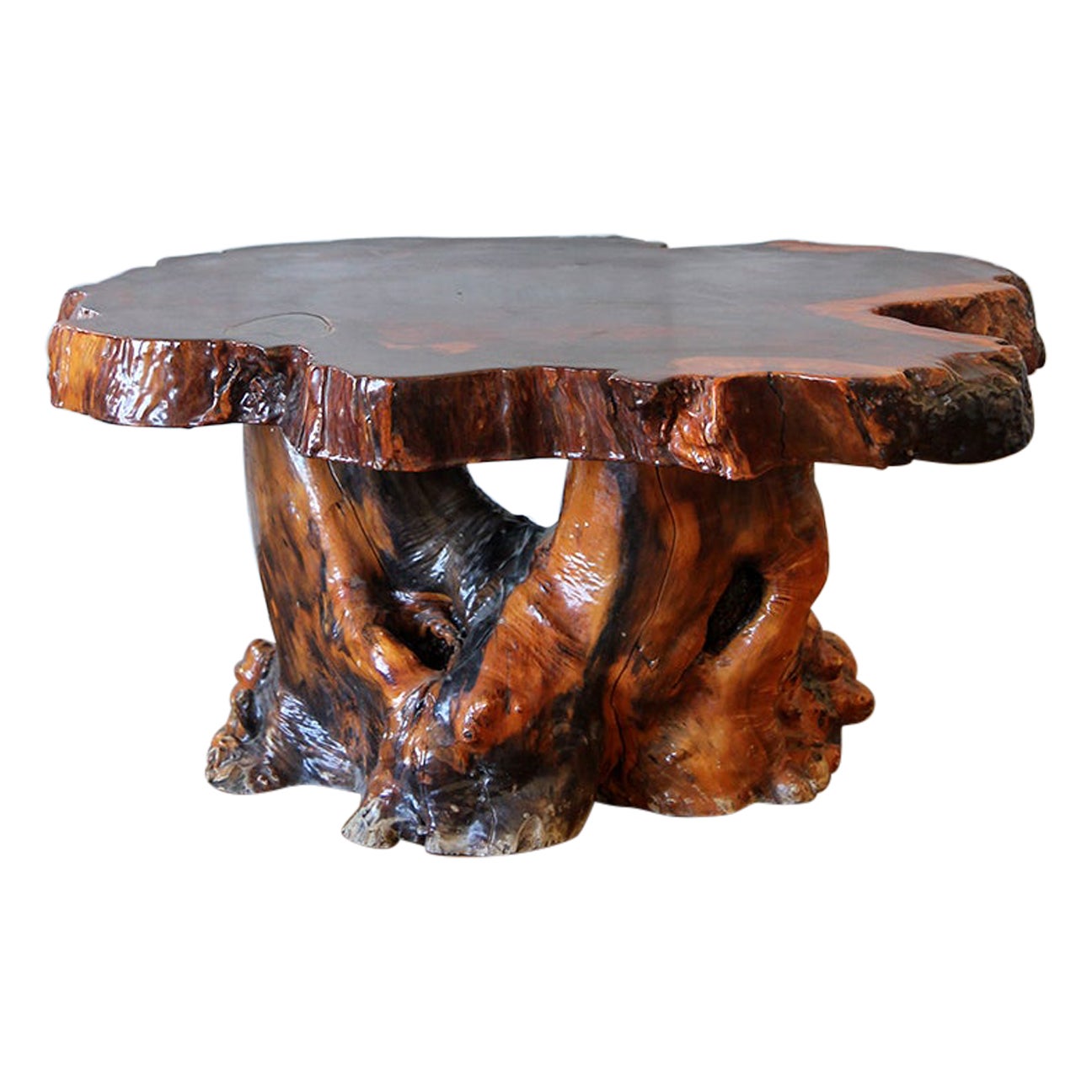Lacquered Live Edge Specimen Burl Coffee Table with Root Base