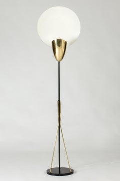 Lacquered Metal and Brass Floor Lamp by Svend Aage Holm Sørensen, Denmark