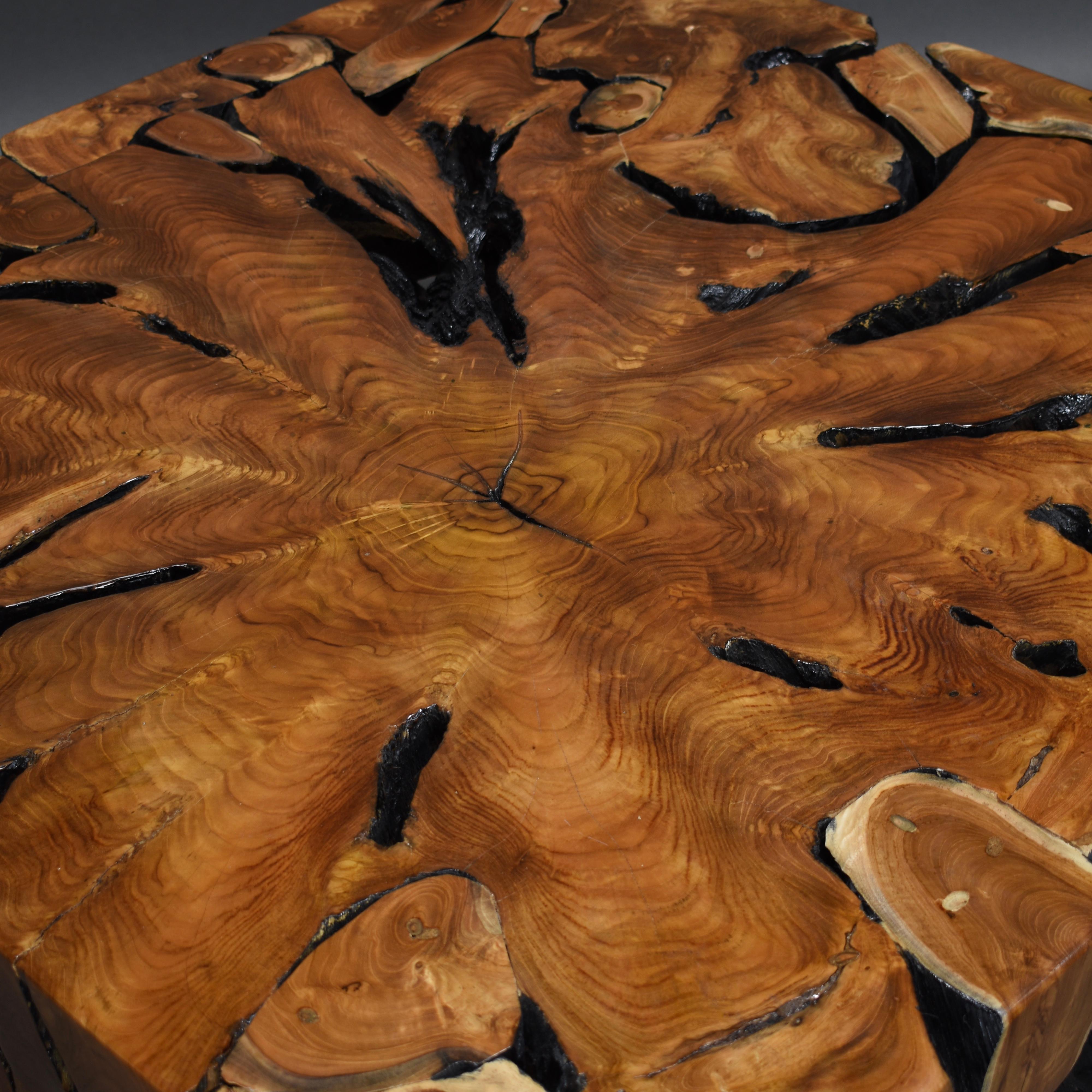 Lacquered Teak Root Square Coffee Table 3