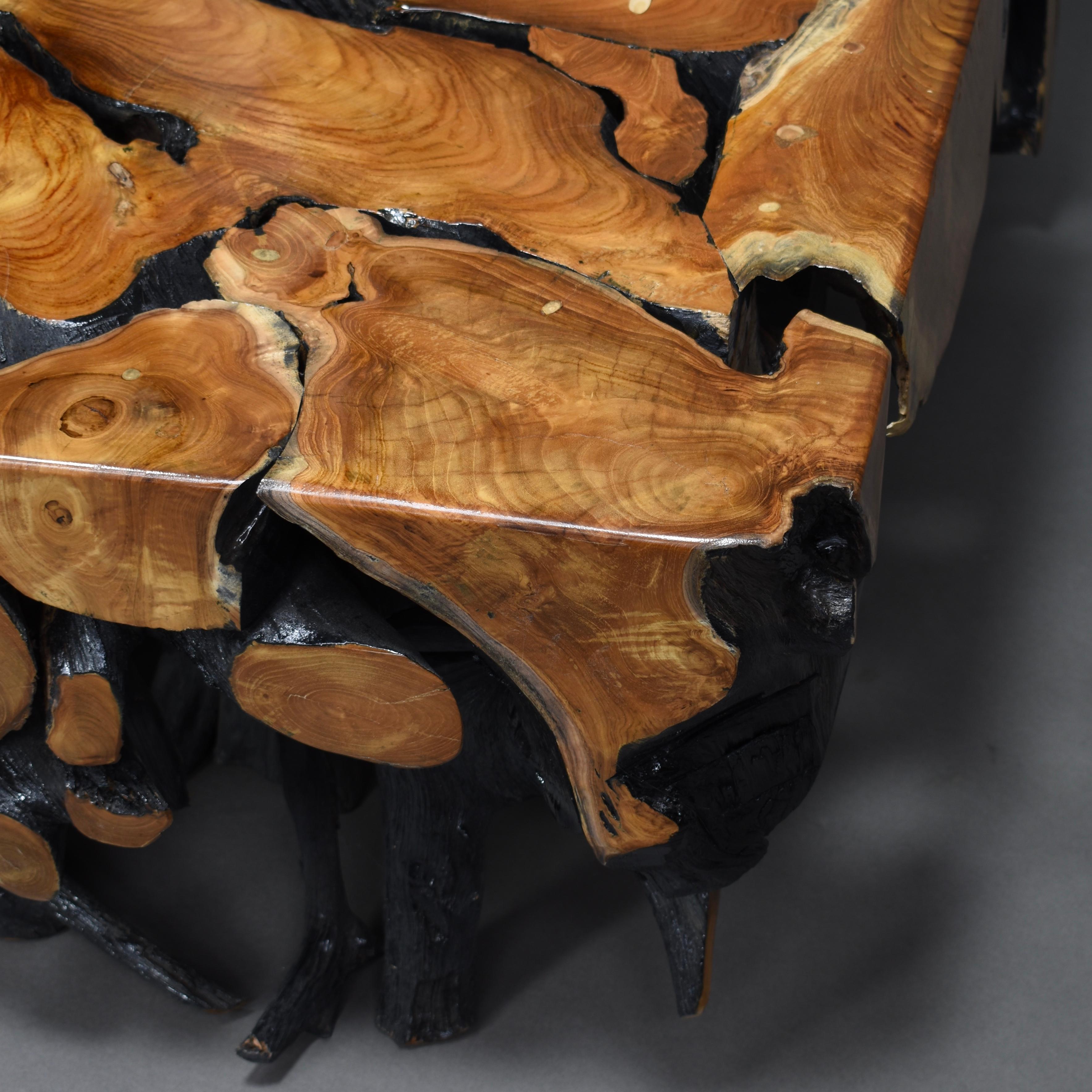 Lacquered Teak Root Square Coffee Table 4