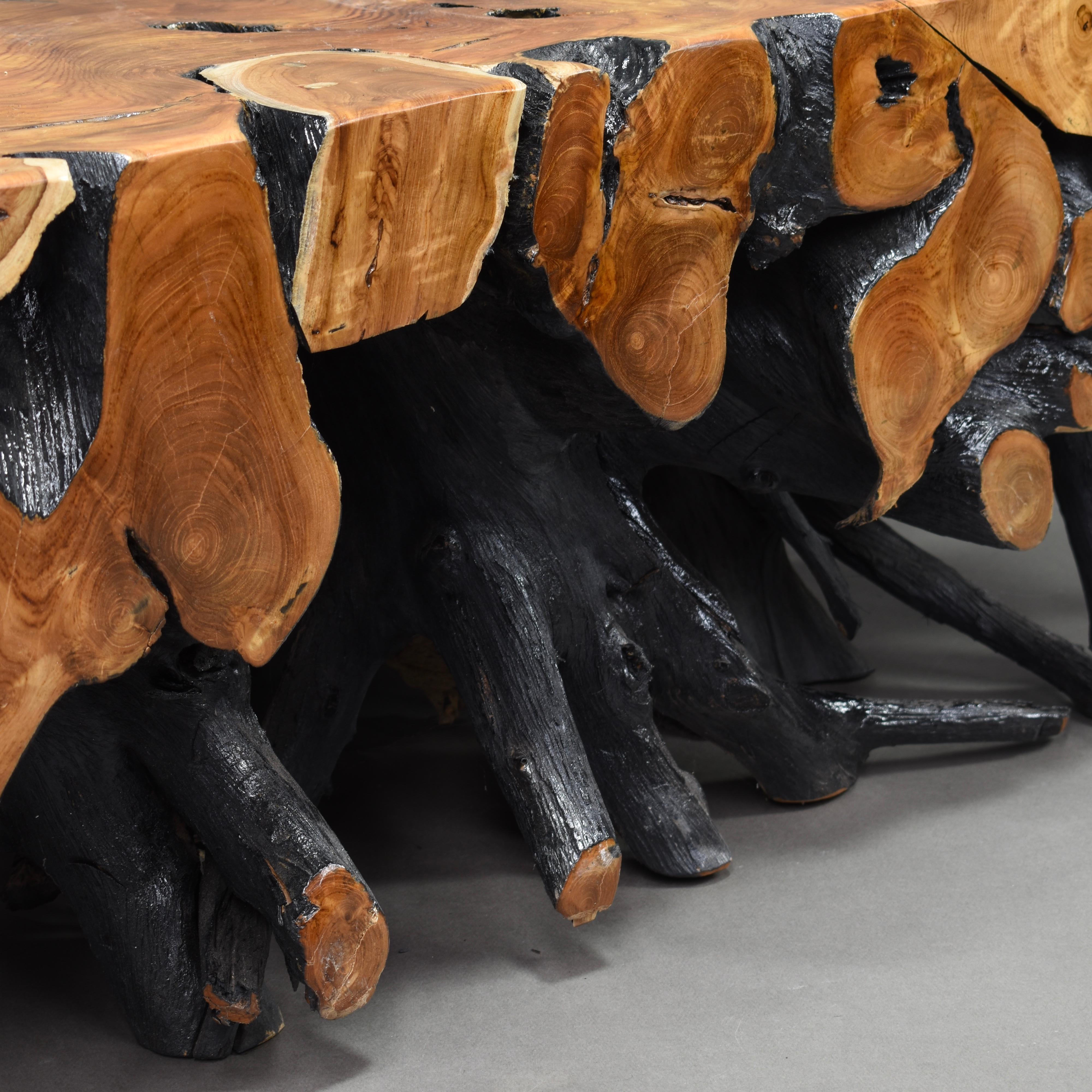 Lacquered Teak Root Square Coffee Table 6