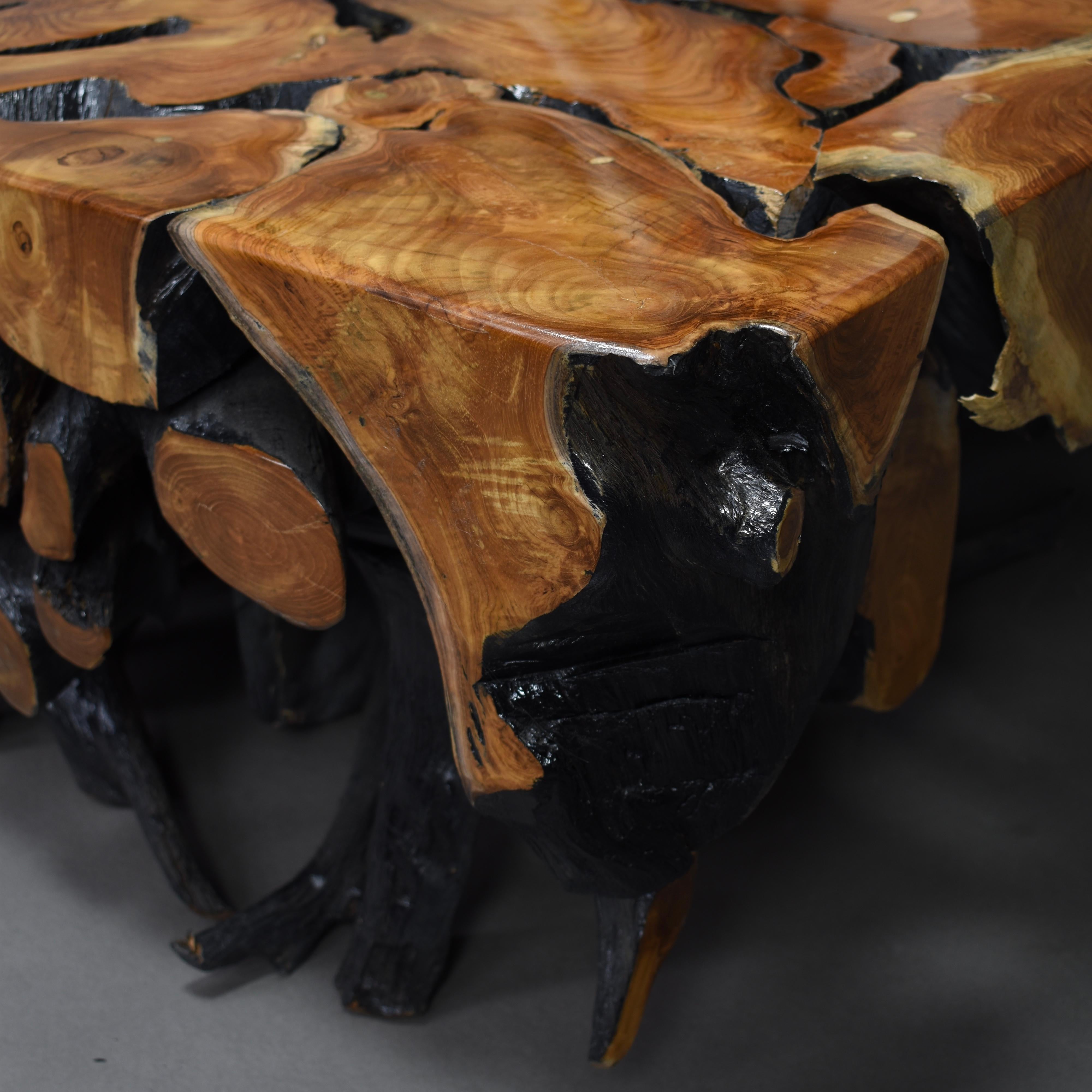 Lacquered Teak Root Square Coffee Table 8