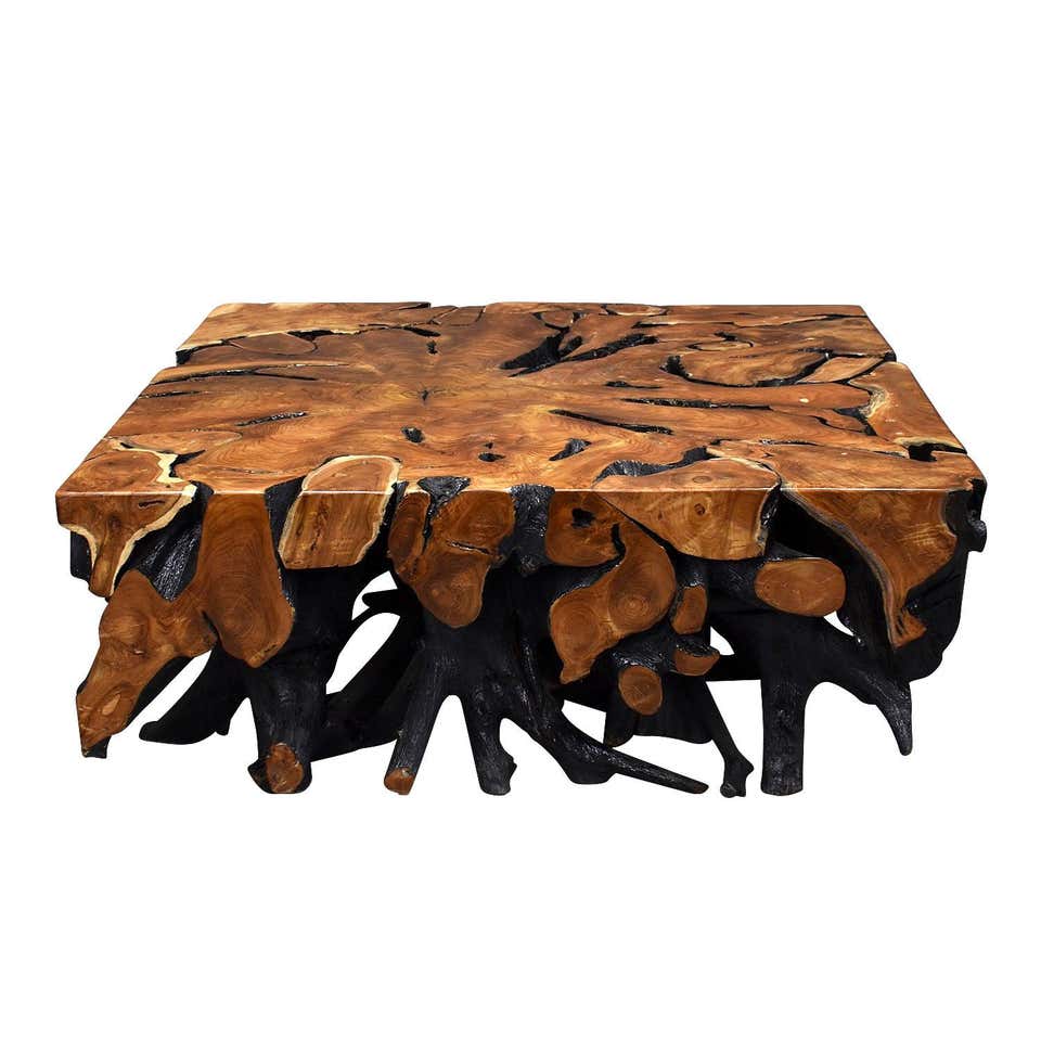 Teak Root Coffee Table at 1stdibs