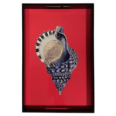 Lacquered Wooden Tray with Handles – Seashell