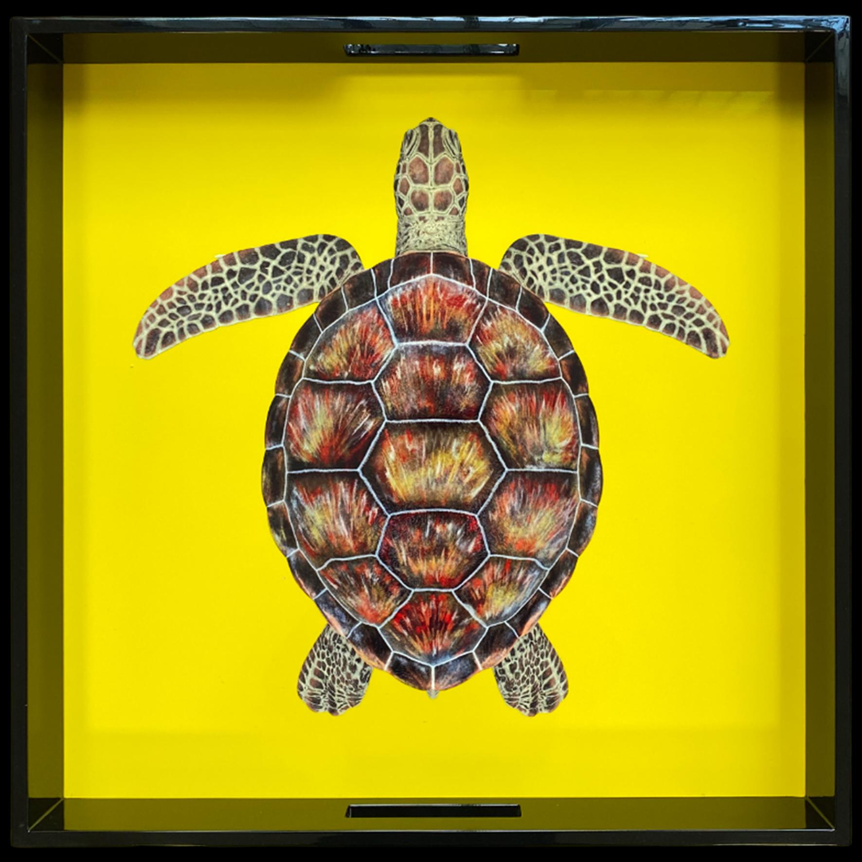 Modern Lacquered Wooden Tray with Handles – Turtle For Sale