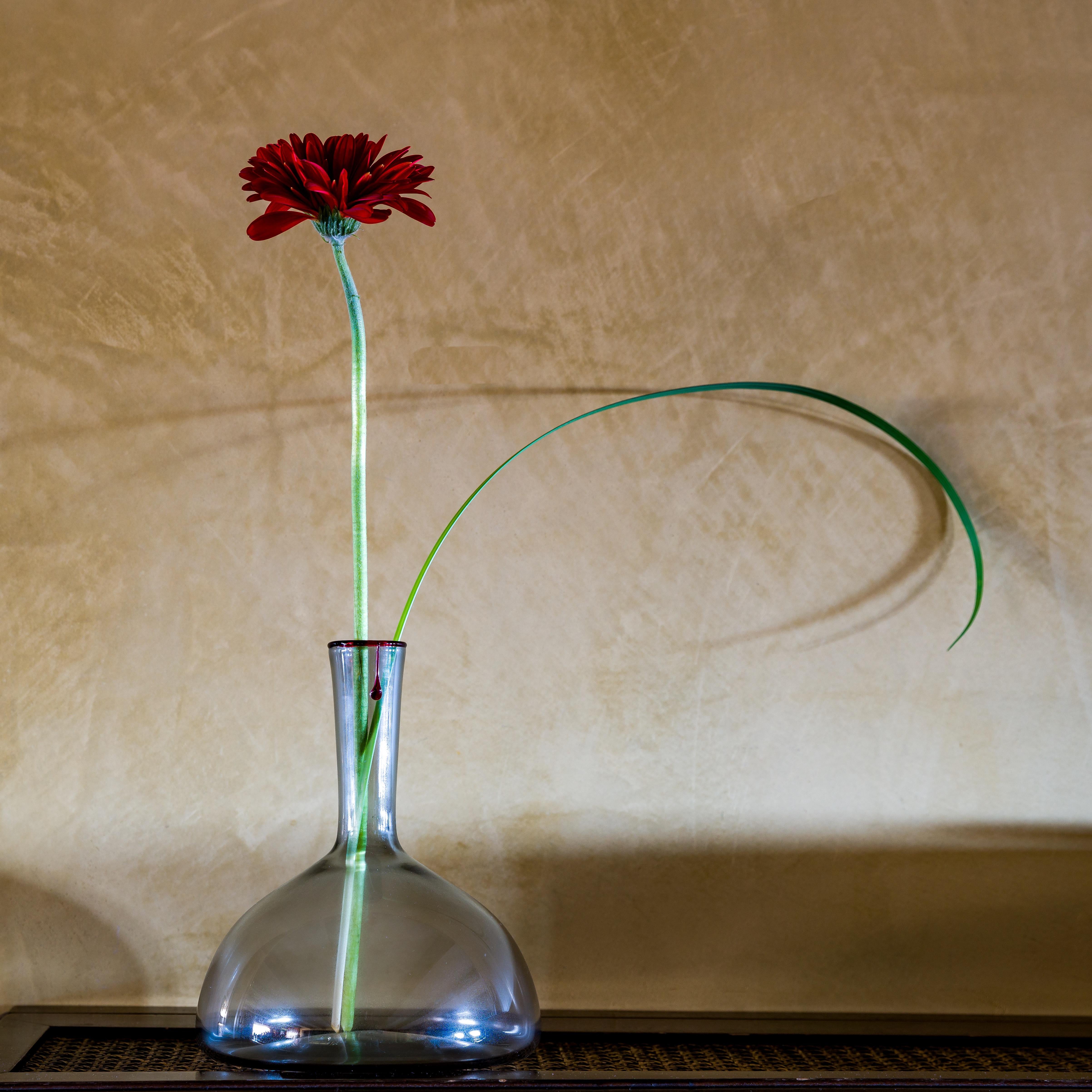The Lacrima pitcher draws inspiration from the bottles depicted on the richly set tables of Renaissance
Venetian paintings. 
Hand-blown in refined grey Murano glass, it is distinguished by its clean, linear profile that rises into a slender neck,