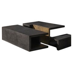 Lacuna Coffee Table by Maria Dolores 
Abe Vettoretti