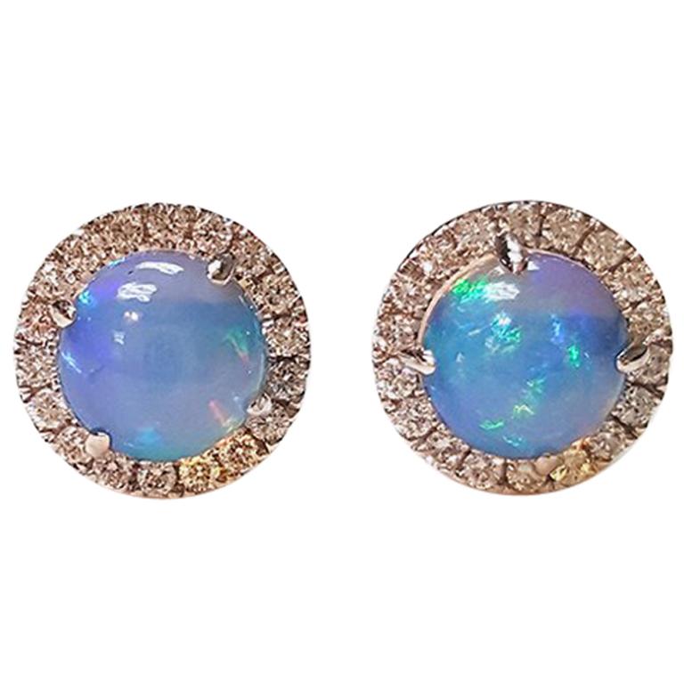 Ladies 14 Karat White Gold Opal and Diamonds Stud Earring For Sale