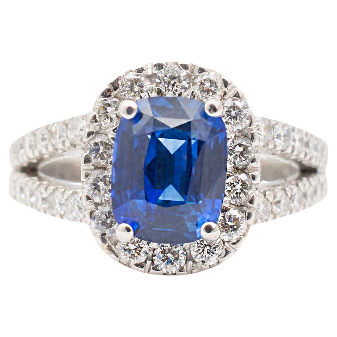 Ladies 14K White Gold Gia Sapphire Halo Accented Diamond Cocktail Ring For Sale