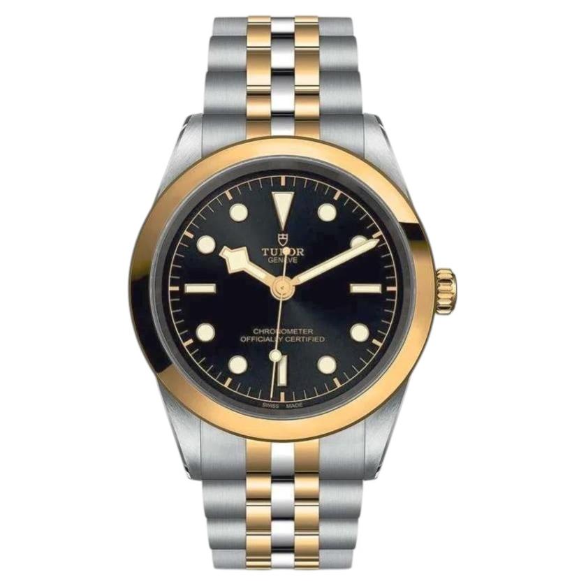 Ladies Tudor Black Bay 32mm Automatic Two Tone 18K Yellow Gold / Stainless Steel For Sale