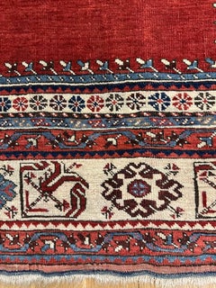 Ladik rug