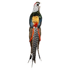 Lady Amherst Pheasant Perched on Naturalistic Wooden Wall Mount