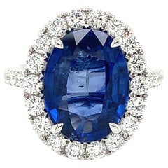 Lady Diana Ceylon Sapphire & Diamond Ring in 18 Karat White Gold