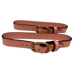 Lady Diana Gucci Bag