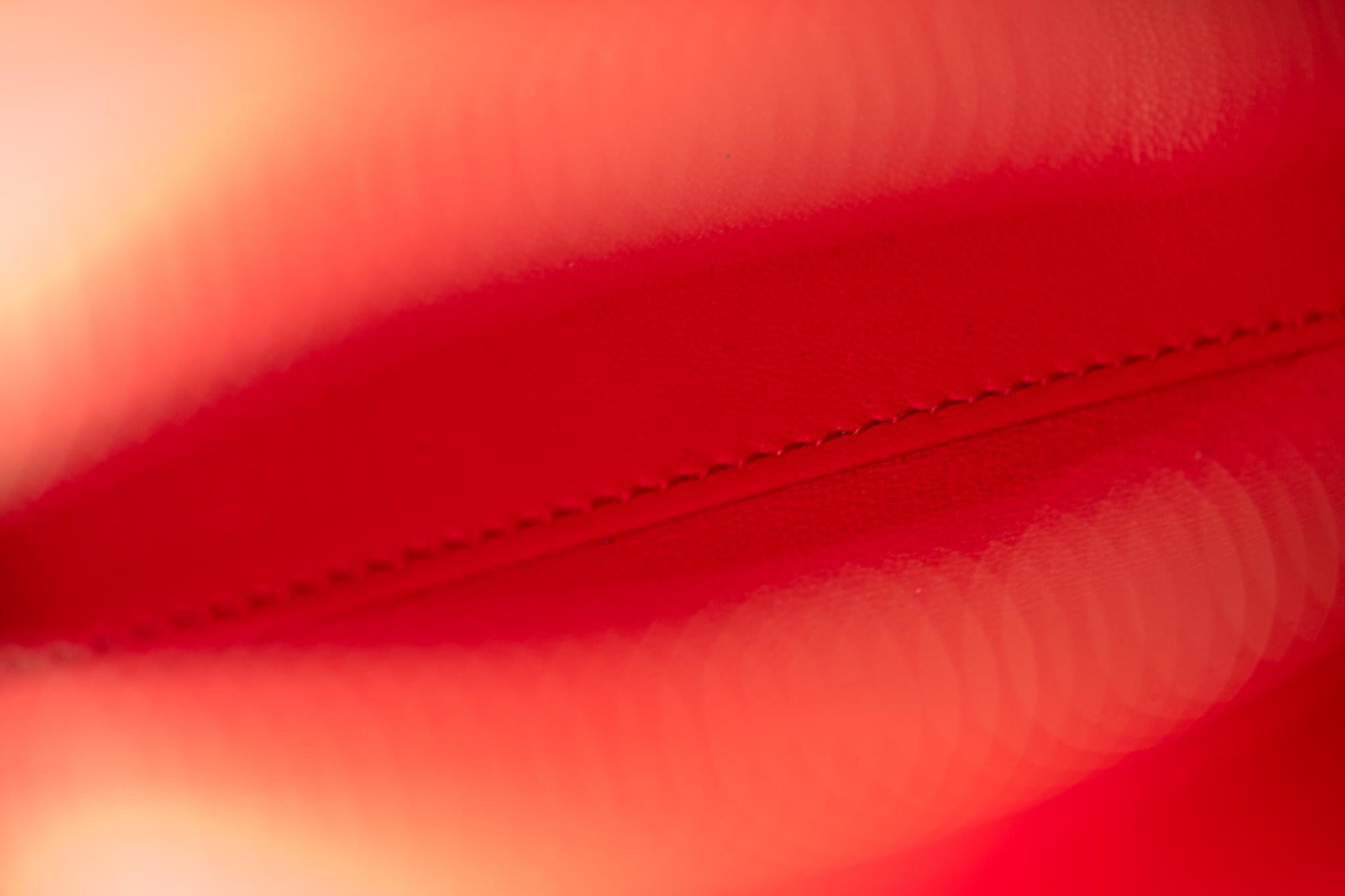  Grand sac en python rouge Lady Dior en vente 13