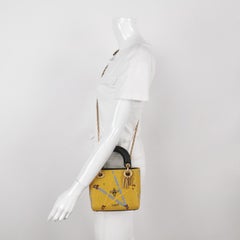 Lady Dior Mini Limited Edition Yellow Star and Bee Beaded Handbag 2017
