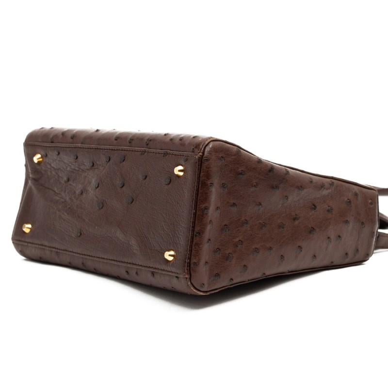 Lady Dior Ostrich Cocoa Brown Handbag 5