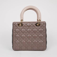 Lady DIOR Tricolor Bag