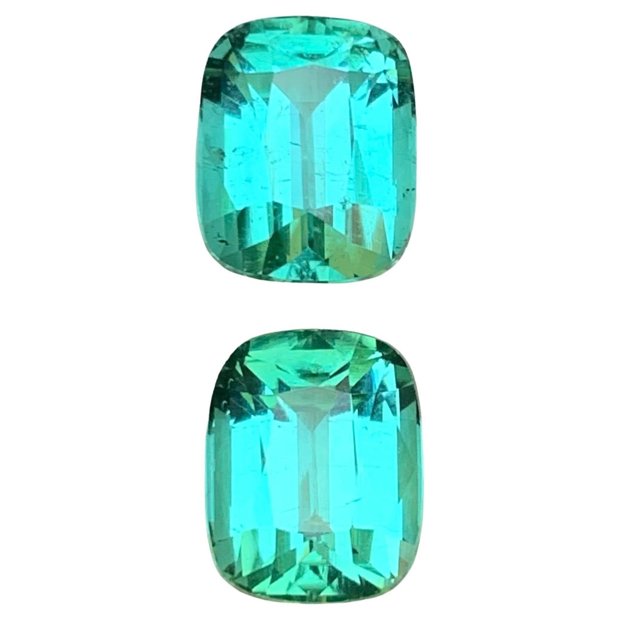 Lagoon Bluish Green Natural Tourmaline Earrings Loose Gemstone Set 8.85 Ct-Jewel For Sale