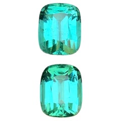 Lagoon Bluish Green Natural Tourmaline Earrings Loose Gemstone Set 8.85 Ct-Jewel