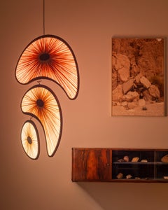 Lake Chad Mobile Light