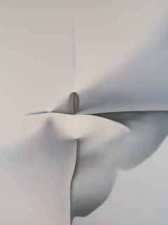 Tutte le sfumature di grigio n. 1  48 X 36