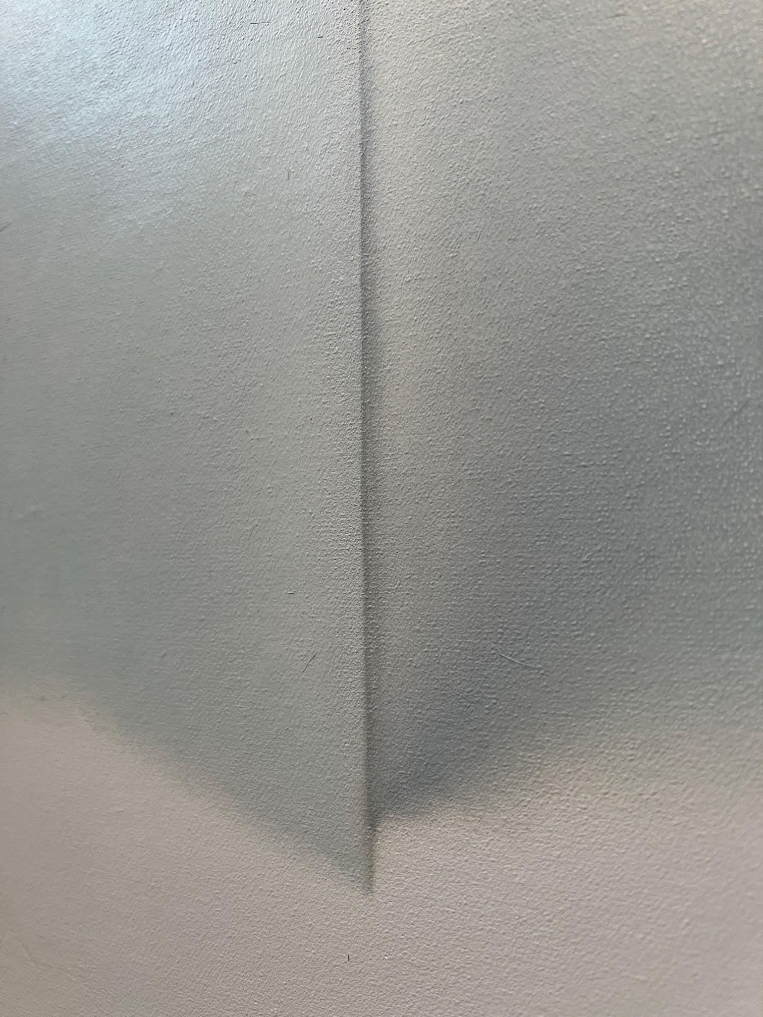 Graue Lampenschirme Nr.2 48 X 36 – Painting von Lalani Nan