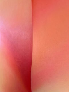 Sunrise Coral 60 X 48