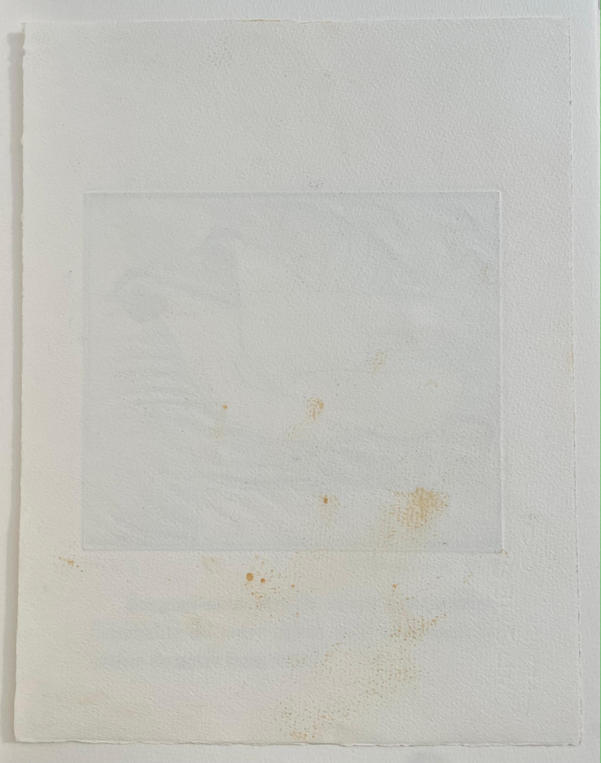 XXI secolo e contemporaneo Lalanne (1927-2008) Le galline, acquaforte di prova unica con lavaggio a inchiostro in vendita