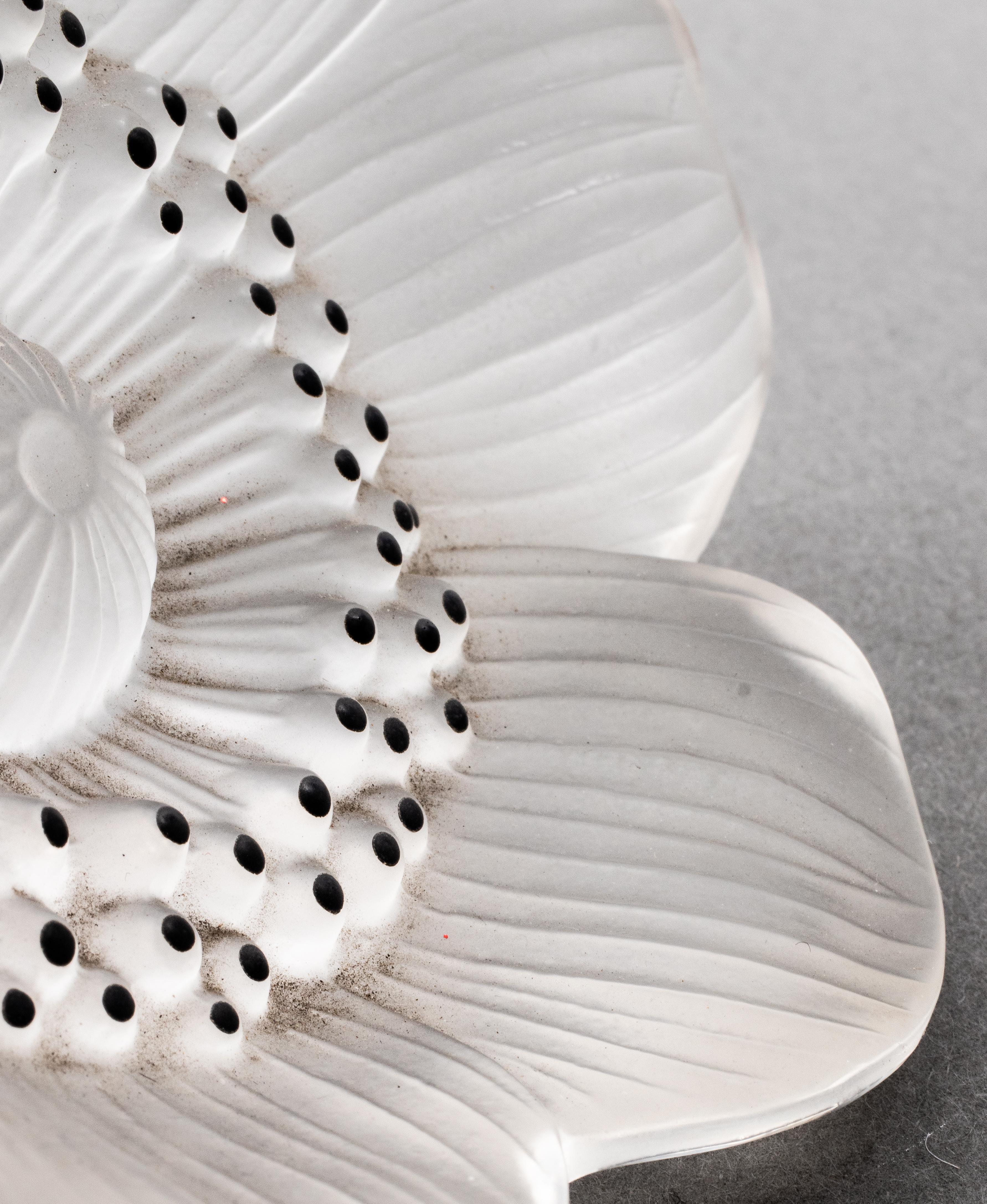 lalique anemone flower