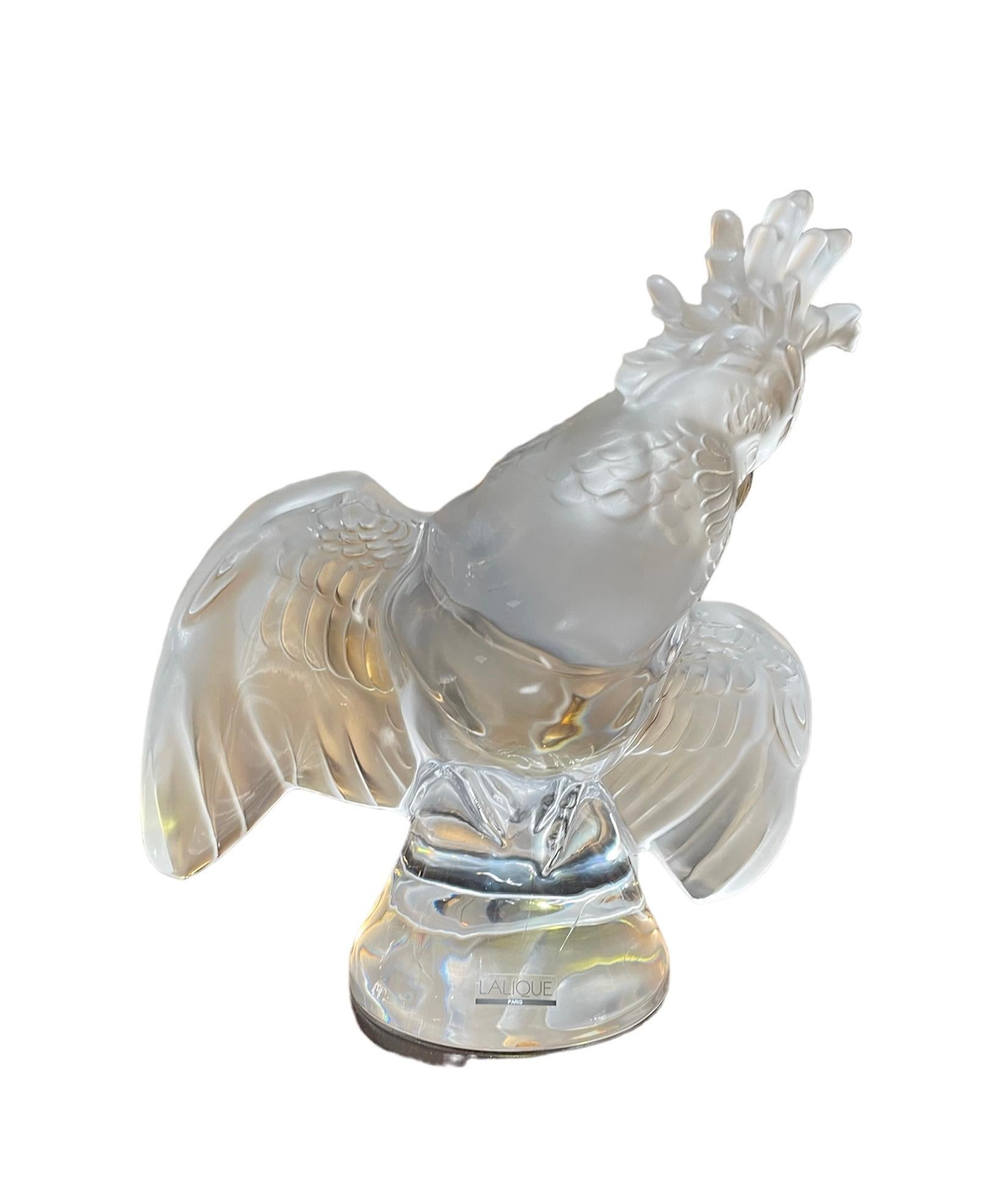 This a Lalique Crystal Cockatiel sculpture. It depicts a frosted and clear crystal loving cockatiel looking for an affectionate owner standing over a conical shaped clear crystal base. It is hallmarked Lalique encircled R and France in the back side
