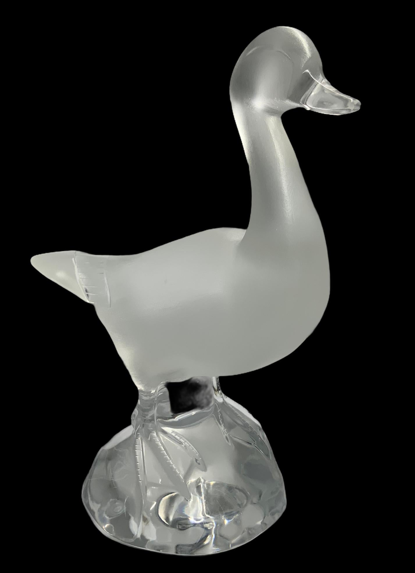 crystal duck meaning