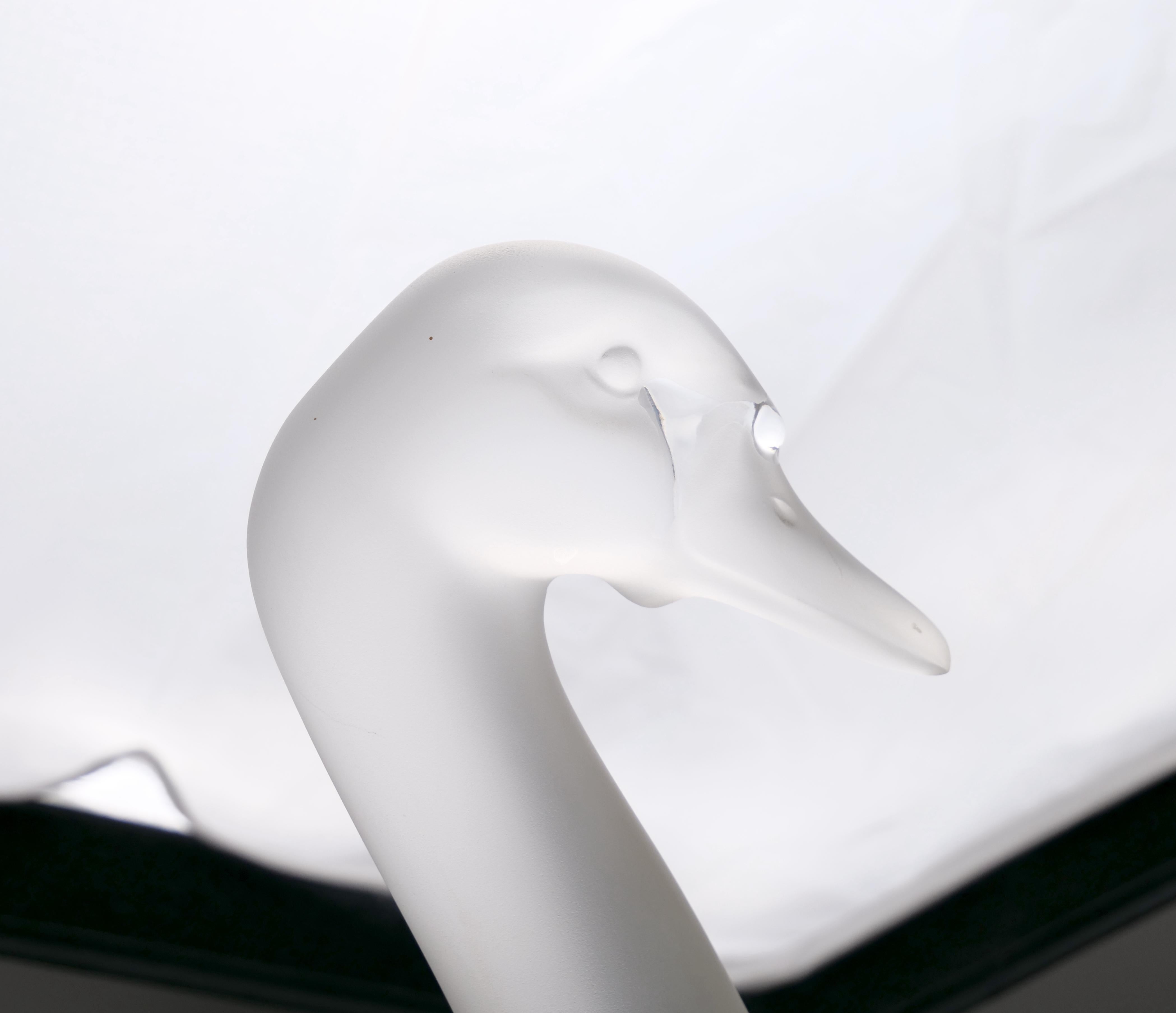  Lalique Crystal Frosted Head Down Swan Sculpture Resting On Mirrored Plateau en vente 10