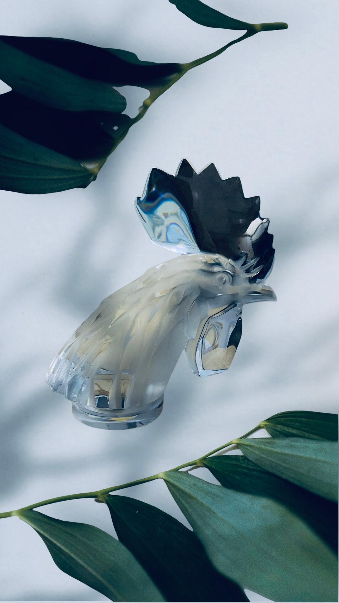 Lalique Kristall Mascot Hahn Tete De Coq Kleine Büste/Bücherbeschwerer im Angebot 5