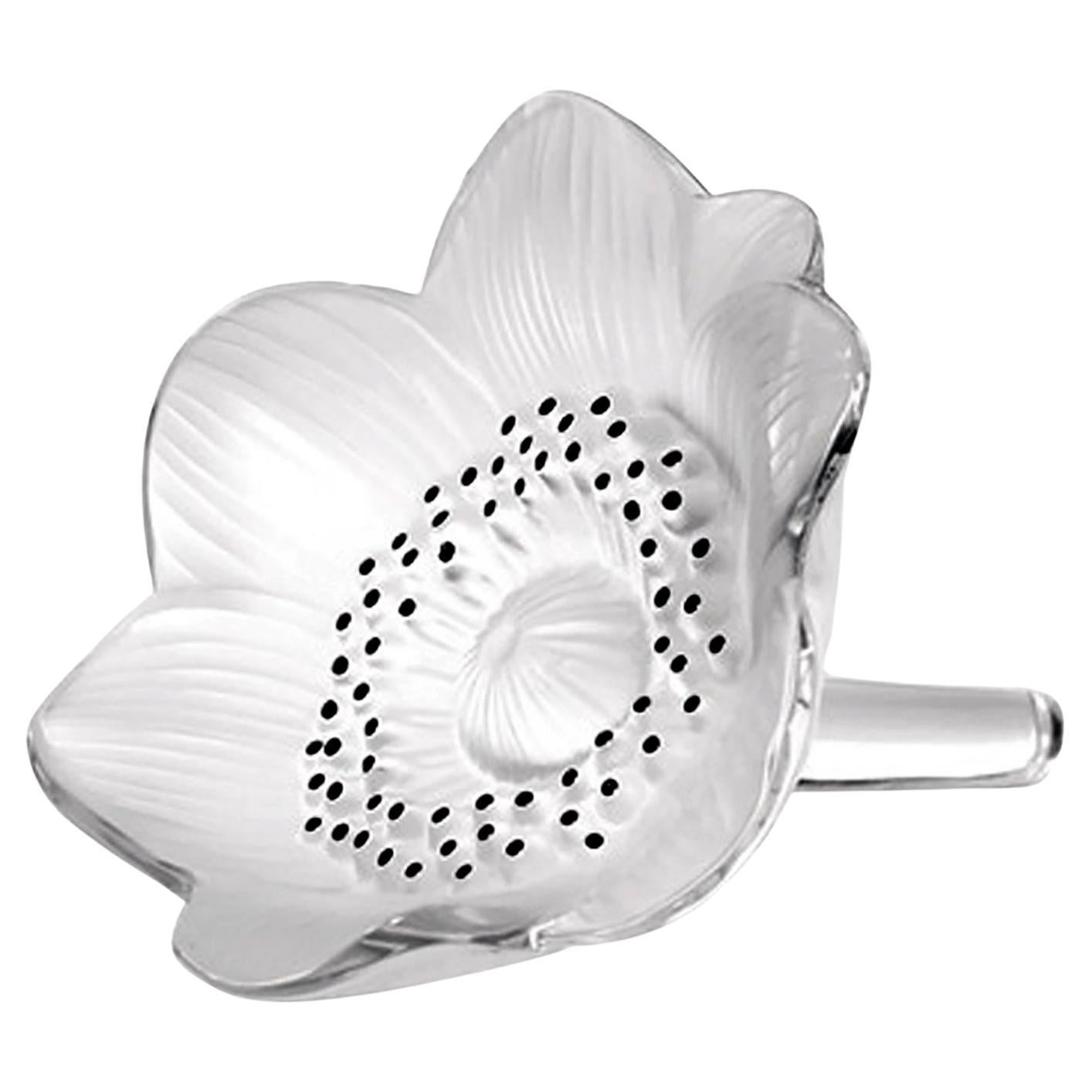 Lalique France Vintage Fiore di Anemone Scultura di cristallo, fermacarte, decorazione