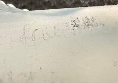 Lalique Mask De Femme Masque with original stand