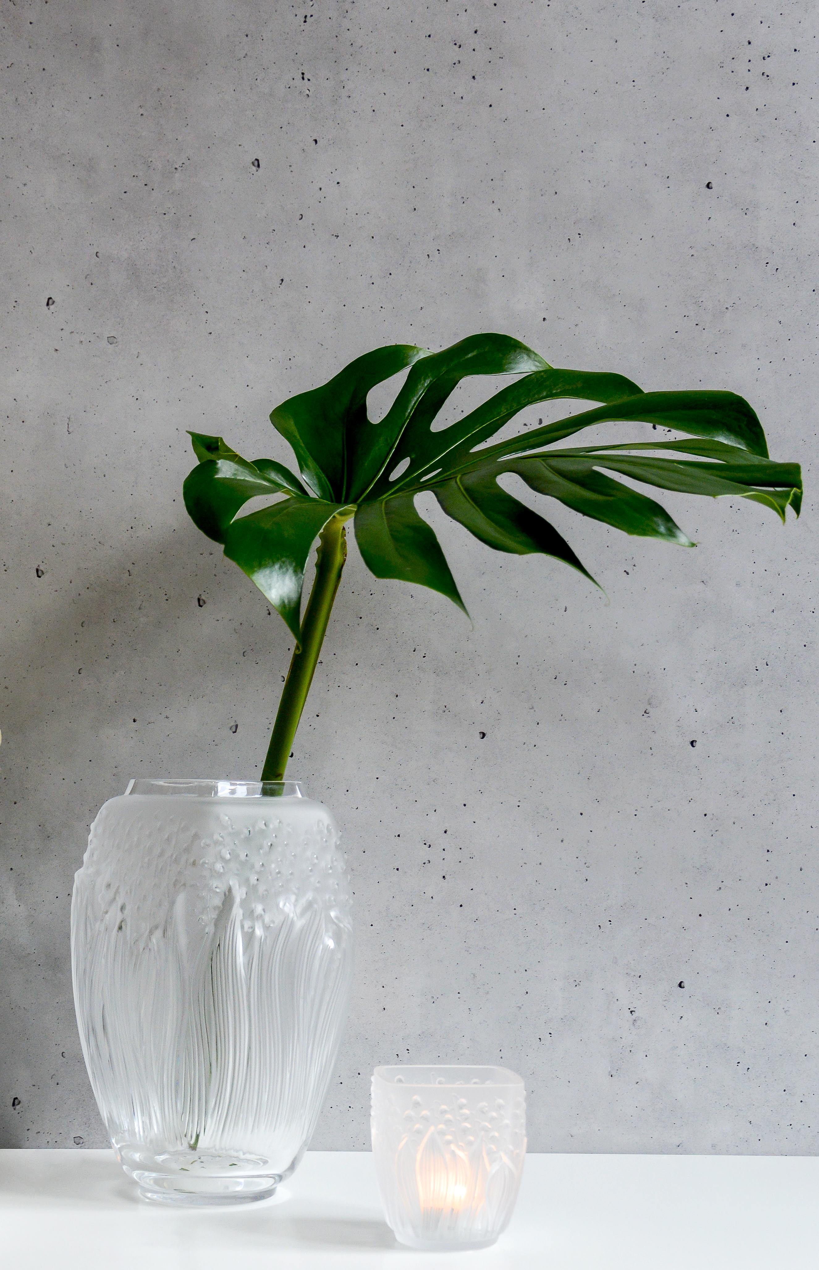 Symbole de chance et fleur préférée de René Lalique, le muguet joue l'accumulation sur ce vase. Les cloches légères et délicates se révèlent derrière les longues feuilles ondulantes, comme bercées par le vent. La forme carrée contraste avec les
