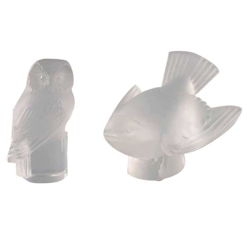 Lalique, Owl and Bird in Clear Art Glass, 1960s For Sale