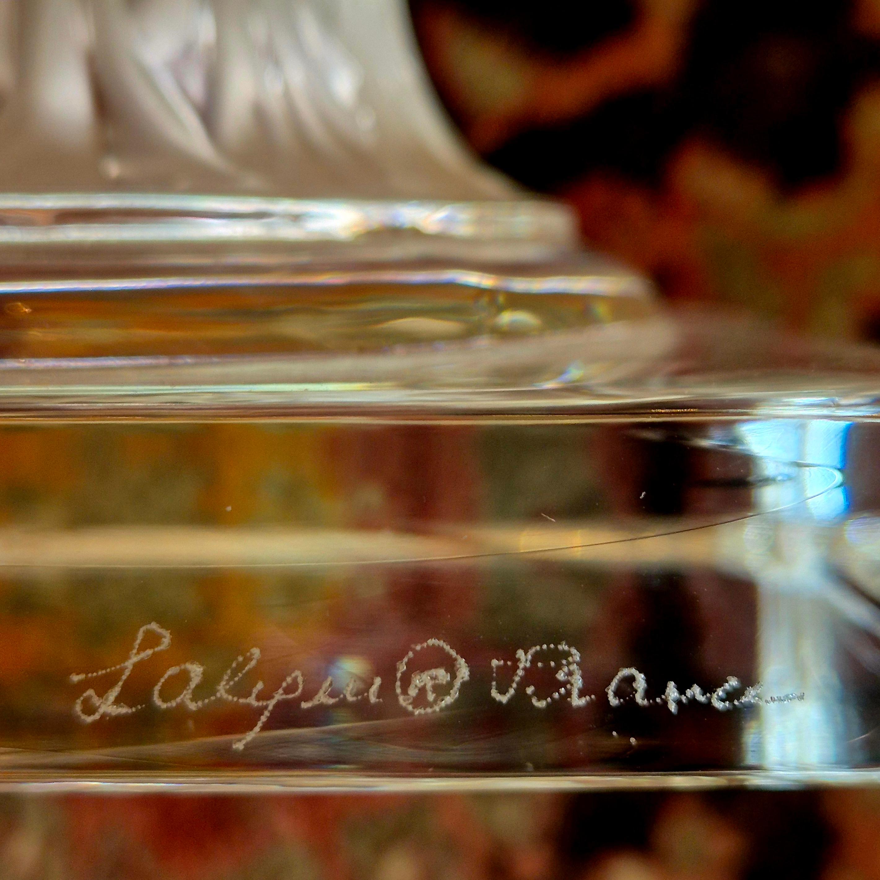 Calco Vaso Lalique 