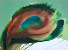 Peacock Feather: Turquoise, Brown, Red, Green, Signed Lithograph Nature Abstract