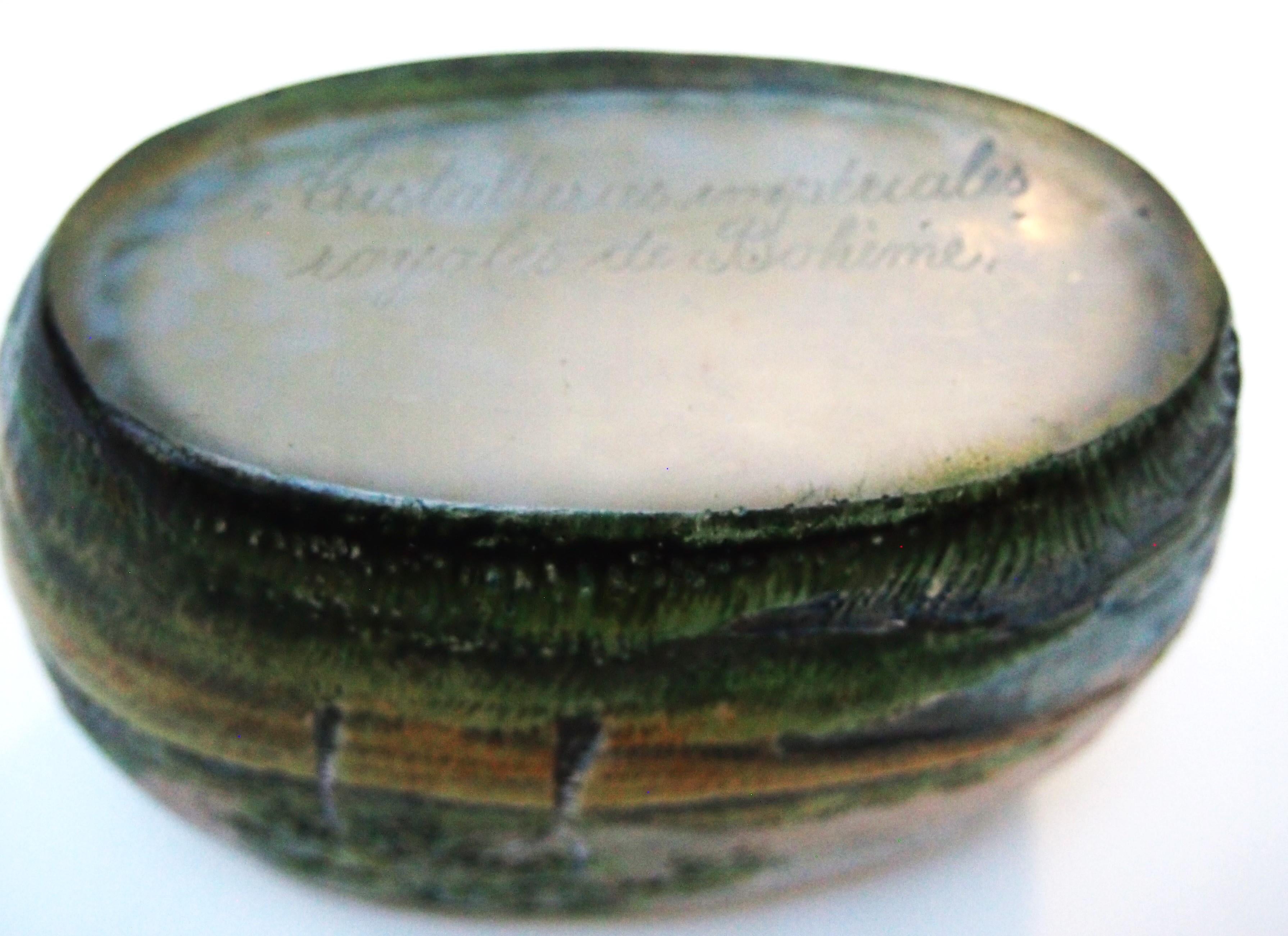Lamartine Jarrón de cristal con esmalte y camafeo Paisaje fluvial Francés/Argelino c1920 en venta 1